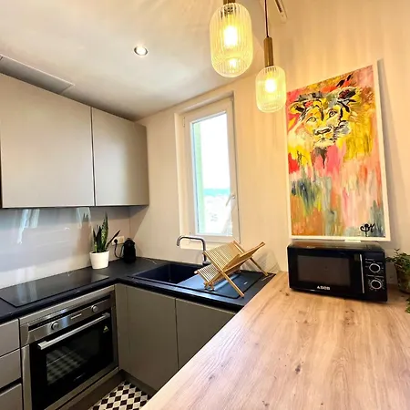 公寓 Charming Penthouse In - 10 Minutes From Seaside 尼斯